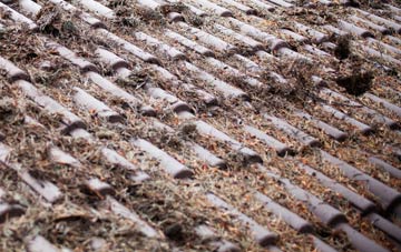 Bowismiln roof cleaning companies